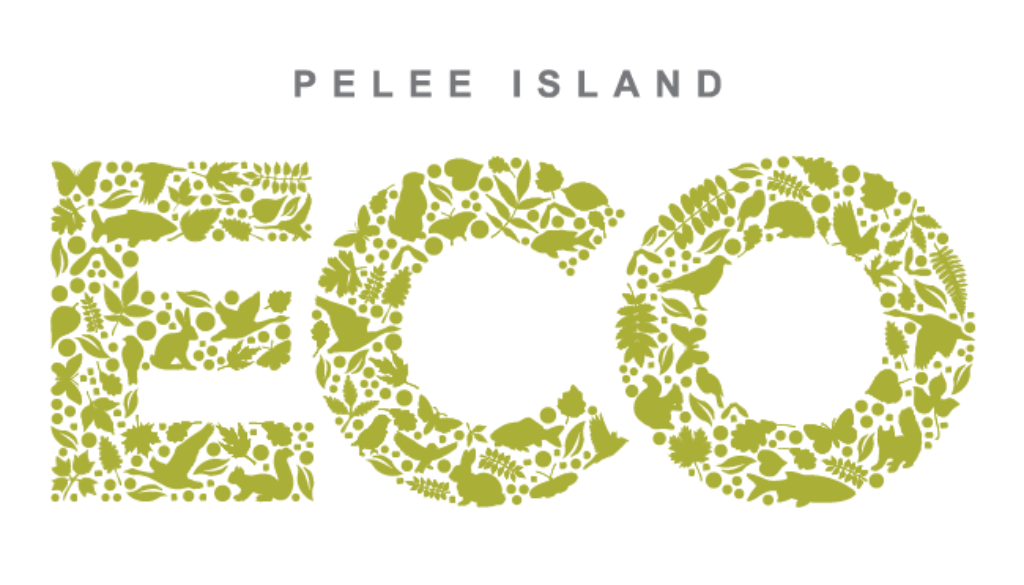 Logo Branding Development Pelee Island ECO wine by BANG! creative strategy by design